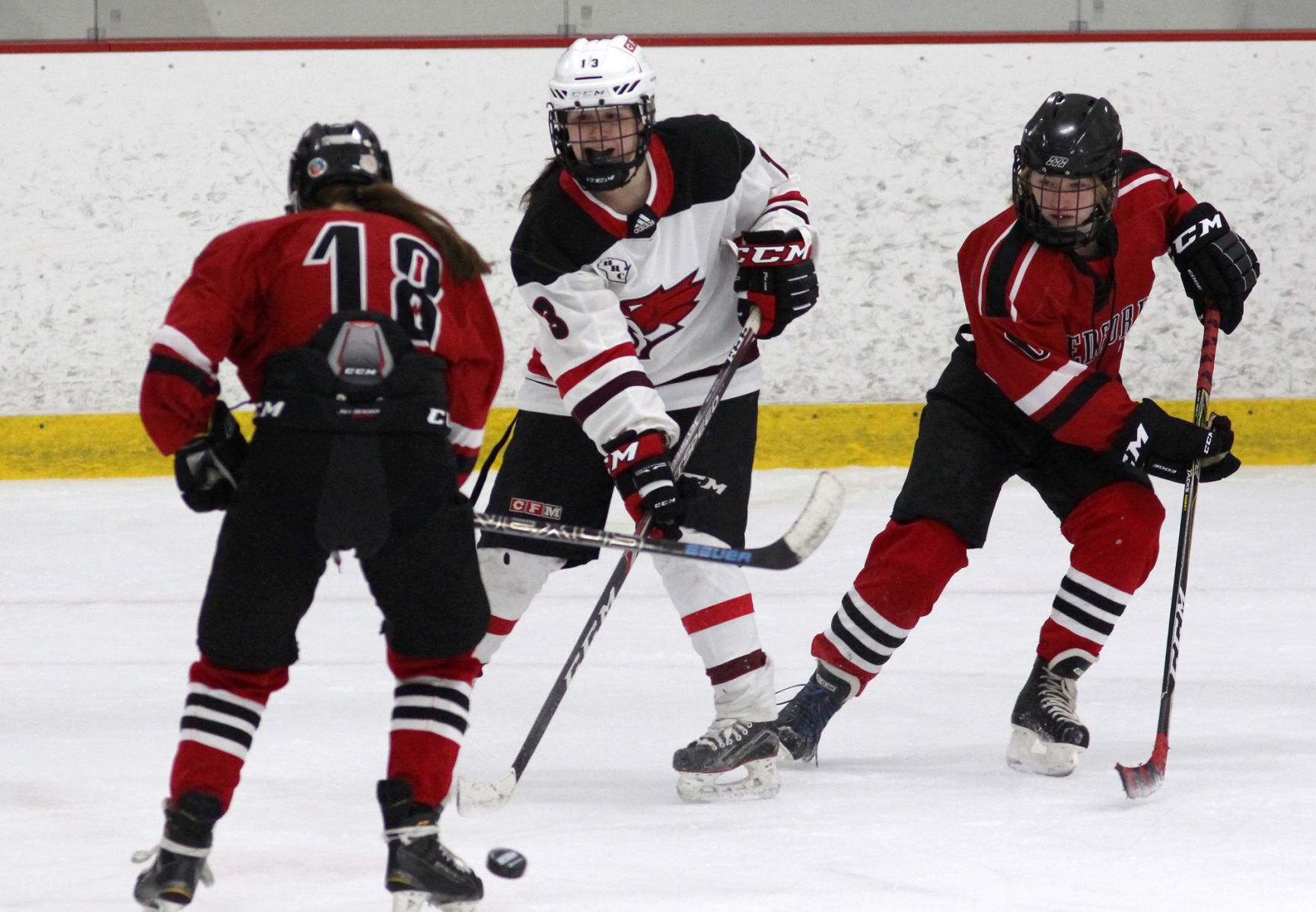 Medford at Chippewa Falls/Menomonie girls hockey 1-30-20